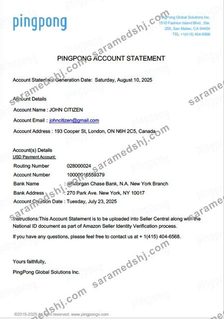 USA California PingPong Global Solutions Inc account statement Word and PDF template